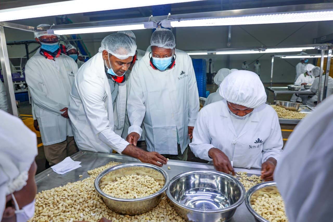 Fresh organic nuts