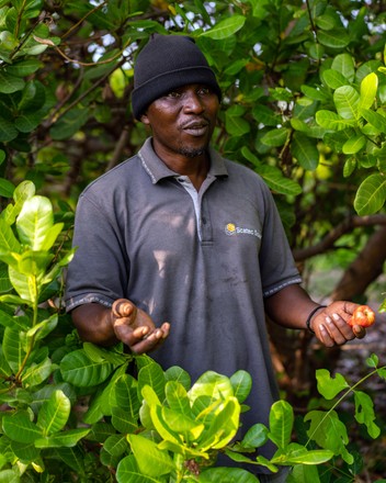 Organic farm in Kenya